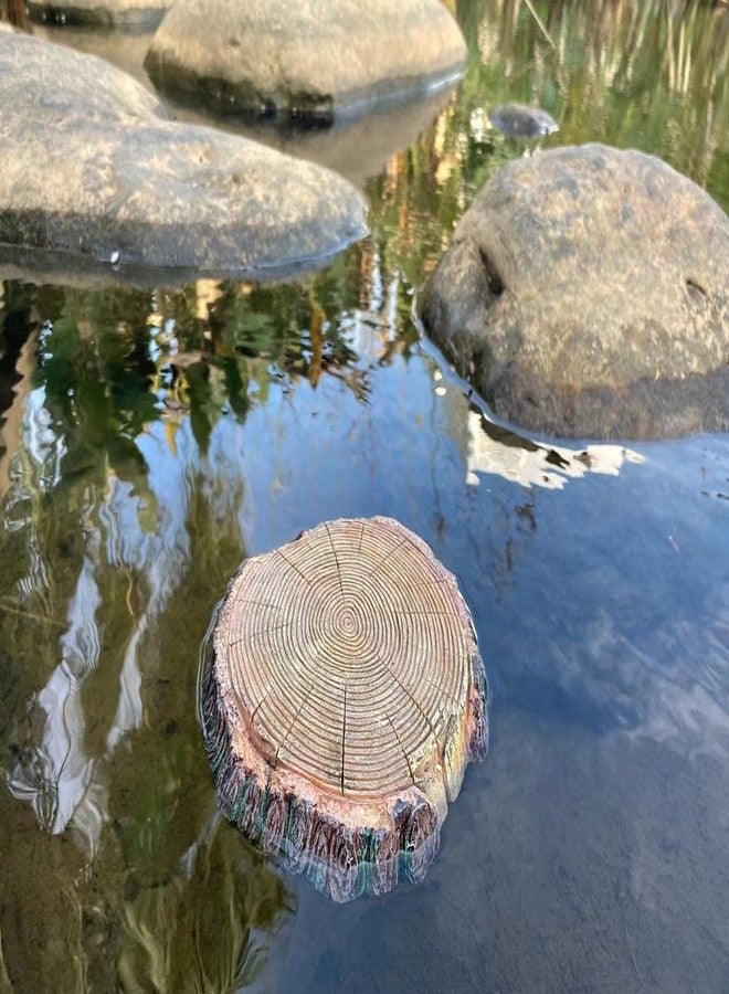 AQUA KT Aquatic Turtle Round Floating Dock Tortoise Bearded Dragon Basking Platform with Suction Cup for Reptile Aquatic Aquarium Decoration - Image 2